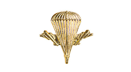 Знак на пимсе ЭМБЛЕМА вдв латунь