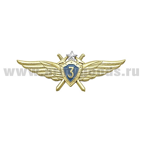 Классность ВВС н/об голубой щит 3