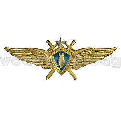 Классность ВВС-штурман с бомбочкой чистая