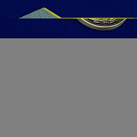 Медаль петр нестеров