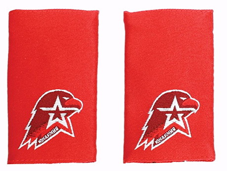 ФАЛЬШПОГОНЫ ЮНАРМИИ